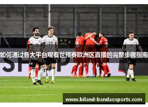 如何通过各大平台观看世预赛欧洲区直播的完整步骤指南